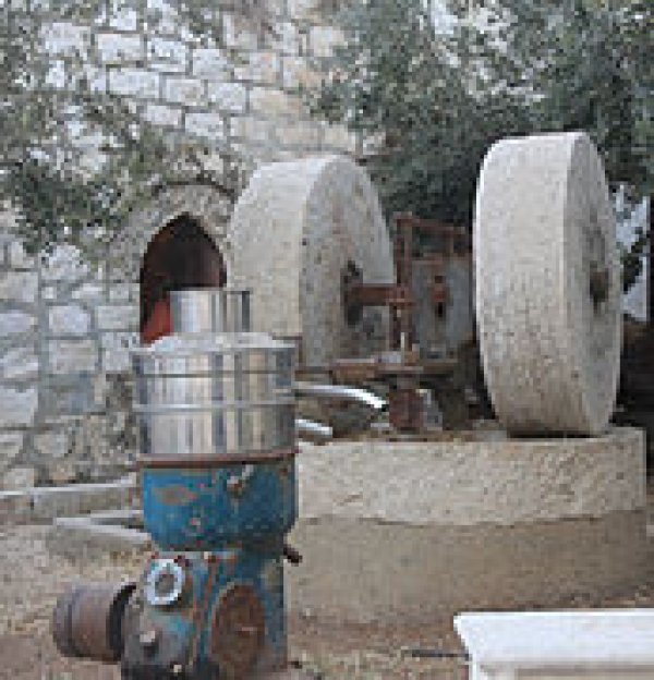  | موسوعة القرى الفلسطينية