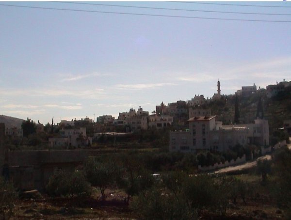 اللبن الغربي