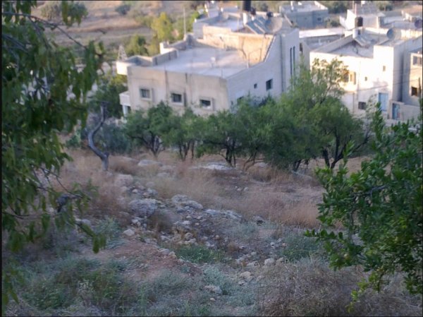 اللبن الغربي