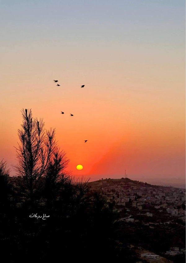  | موسوعة القرى الفلسطينية