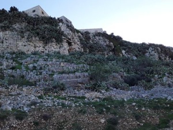  | موسوعة القرى الفلسطينية