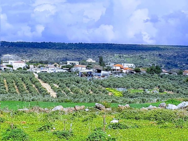 من أراضي قرية عمقا