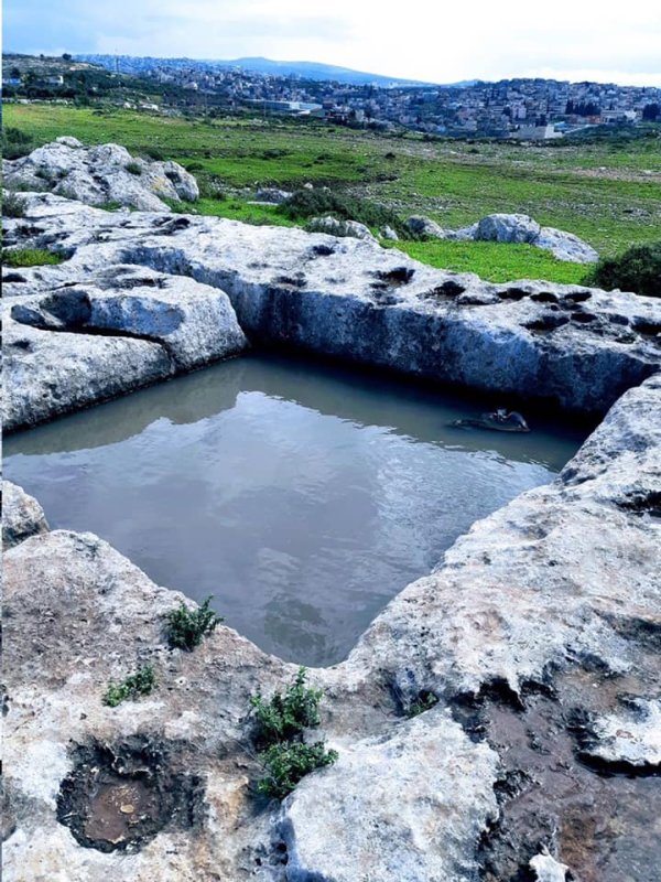 من أراضي قرية عمقا