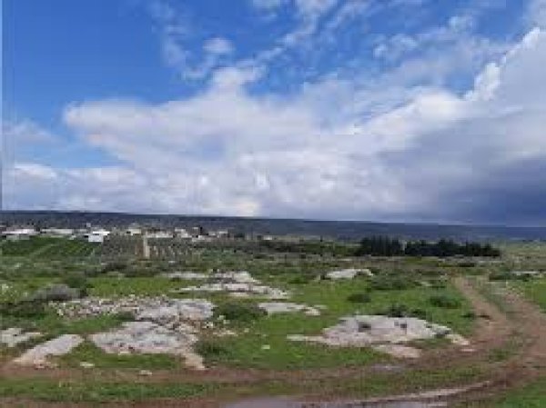 من أراضي قرية عمقا