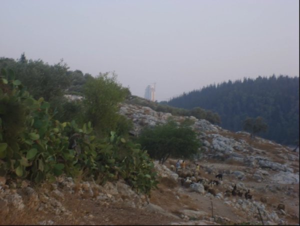 قرية المدية