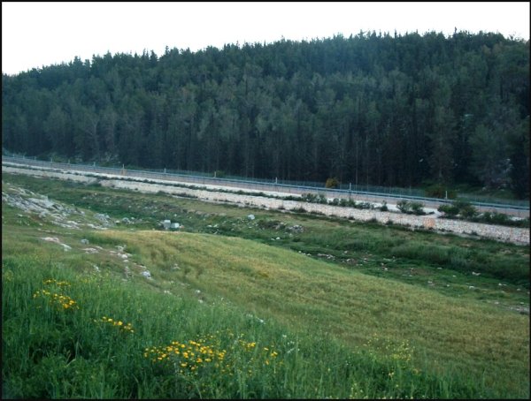 الطبيعة في قرية المدية