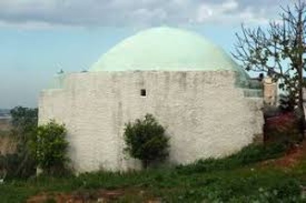  | موسوعة القرى الفلسطينية