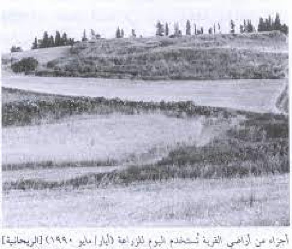  | موسوعة القرى الفلسطينية