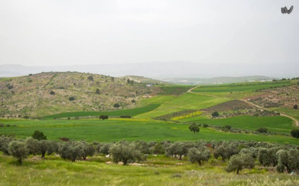  | موسوعة القرى الفلسطينية