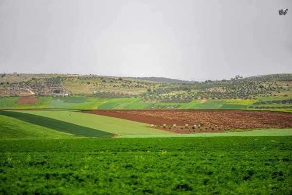  | موسوعة القرى الفلسطينية