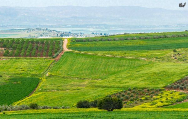  | موسوعة القرى الفلسطينية