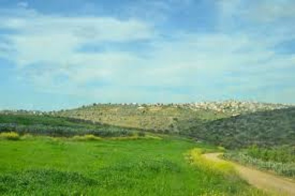  | موسوعة القرى الفلسطينية