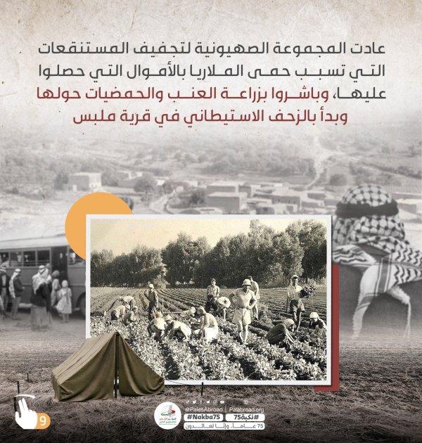 قرية ملبس / يافا