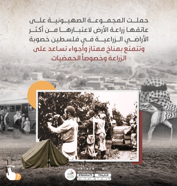 قرية ملبس / يافا