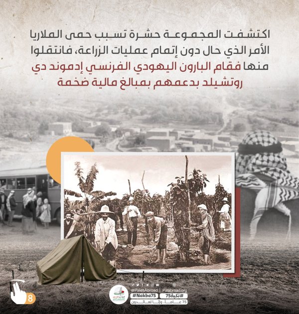 قرية ملبس / يافا