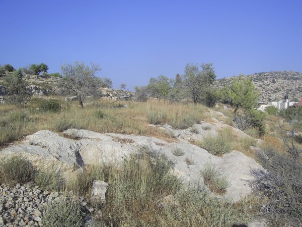  | موسوعة القرى الفلسطينية