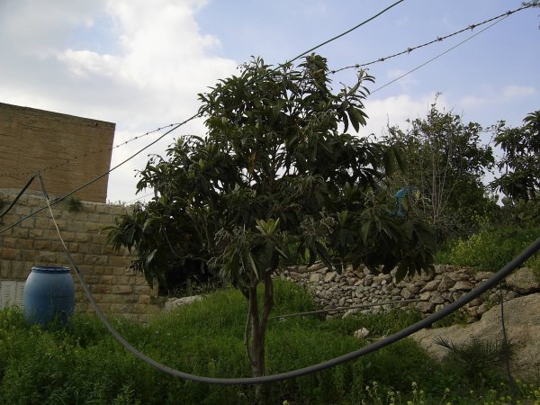  | موسوعة القرى الفلسطينية