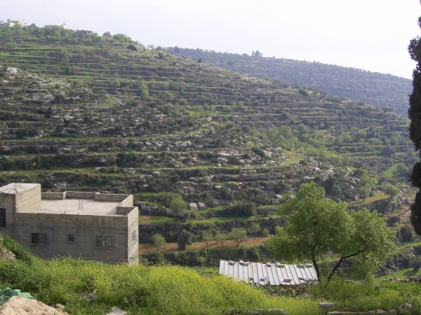  | موسوعة القرى الفلسطينية