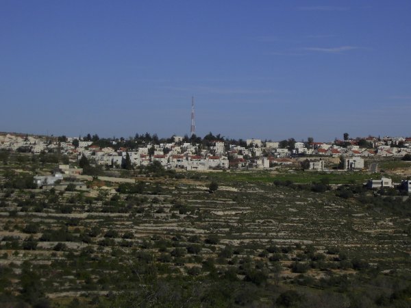  | موسوعة القرى الفلسطينية