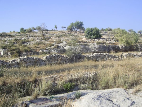  | موسوعة القرى الفلسطينية