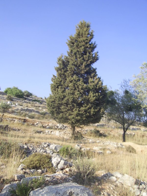  | موسوعة القرى الفلسطينية