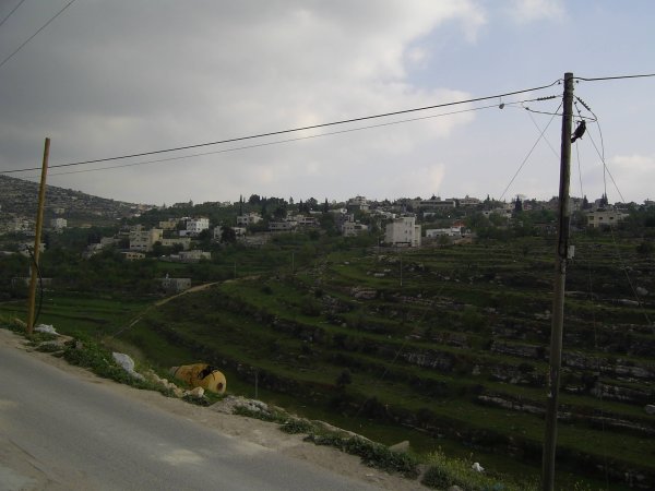  | موسوعة القرى الفلسطينية