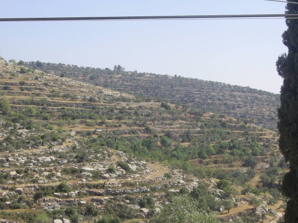  | موسوعة القرى الفلسطينية