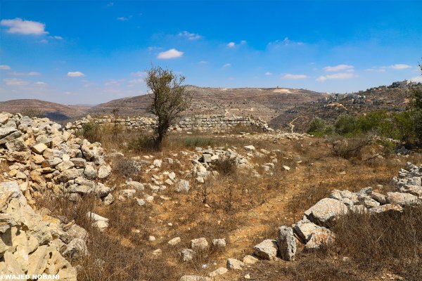  | موسوعة القرى الفلسطينية