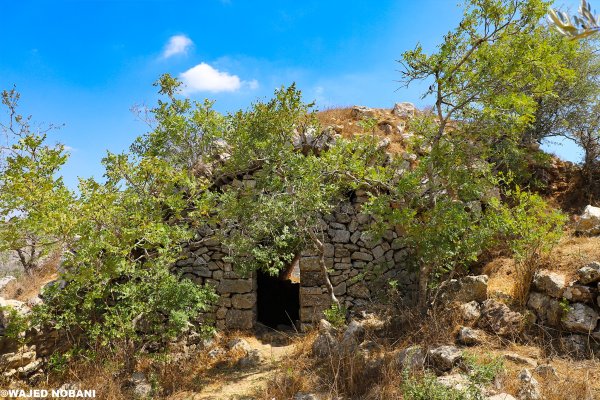  | موسوعة القرى الفلسطينية