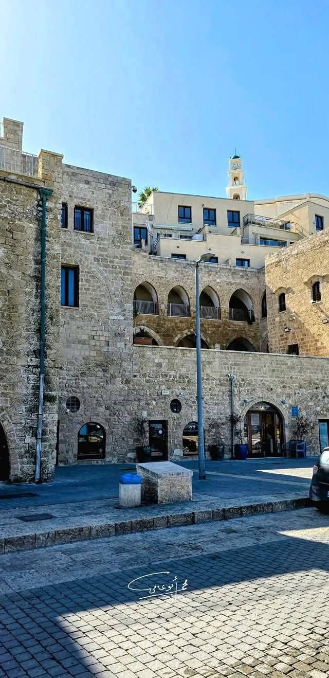 يافا | موسوعة القرى الفلسطينية