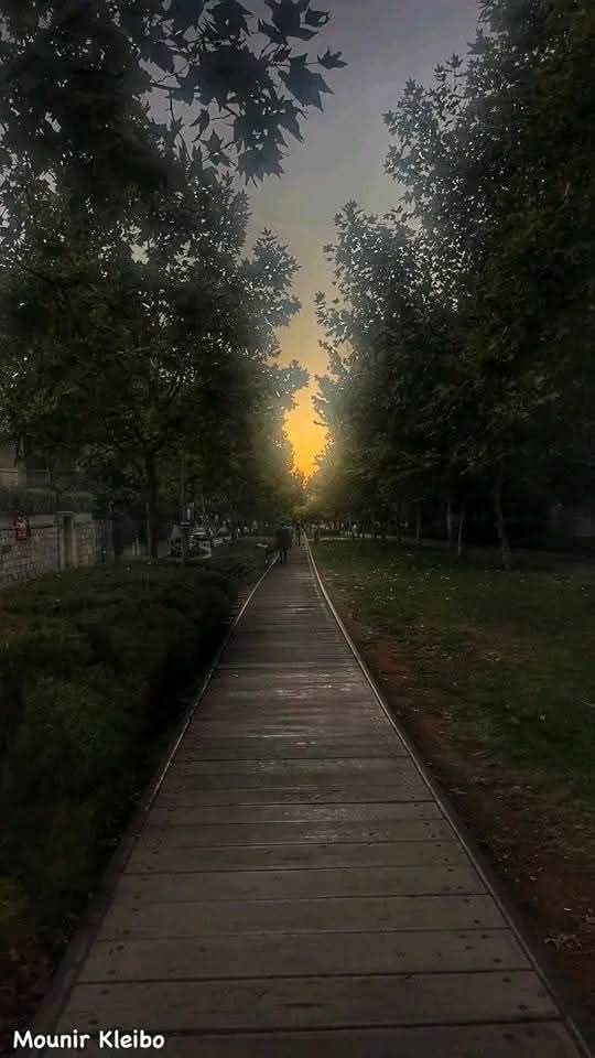 القدس | موسوعة القرى الفلسطينية