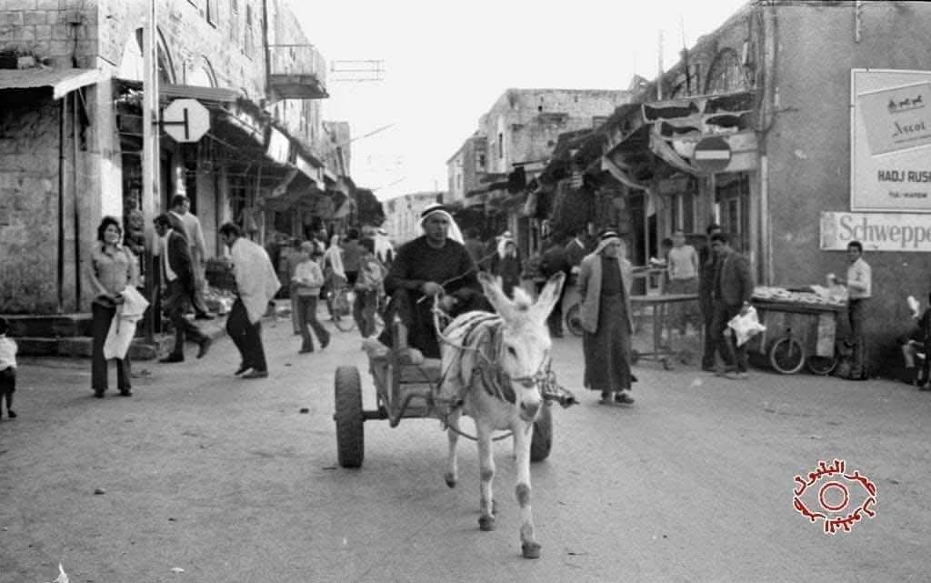 الخليل | موسوعة القرى الفلسطينية