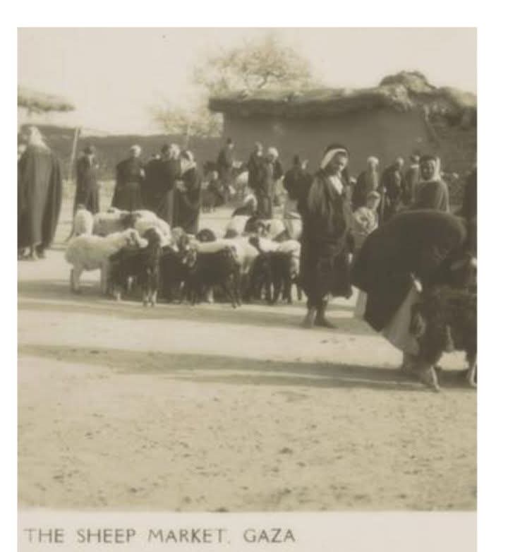 غزة | موسوعة القرى الفلسطينية