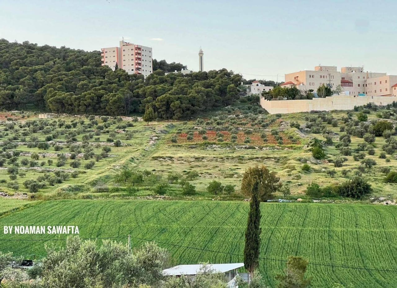 طوباس | موسوعة القرى الفلسطينية