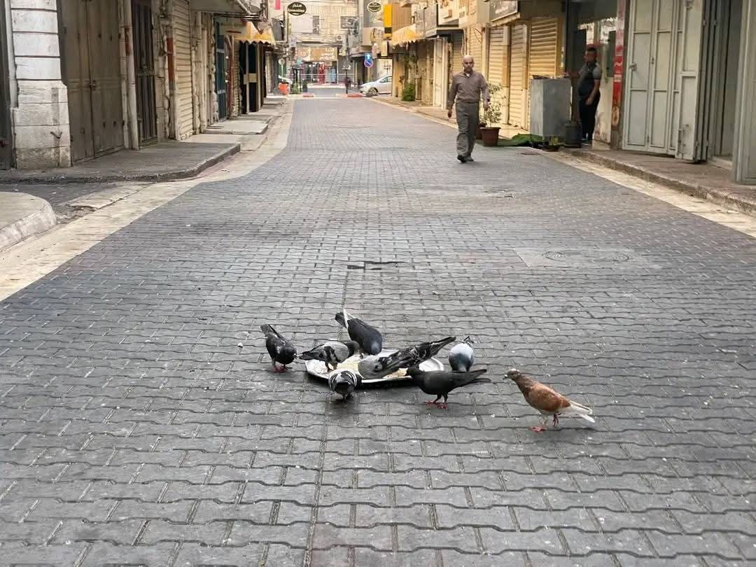 نابلس | موسوعة القرى الفلسطينية