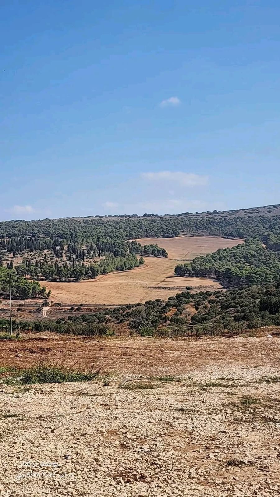 جنين | موسوعة القرى الفلسطينية