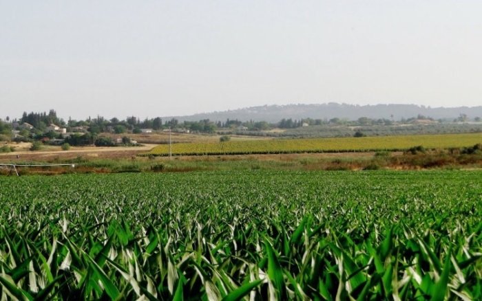 خربة بيت فار