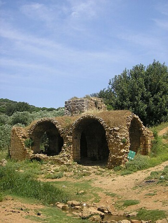 وادي سلامة