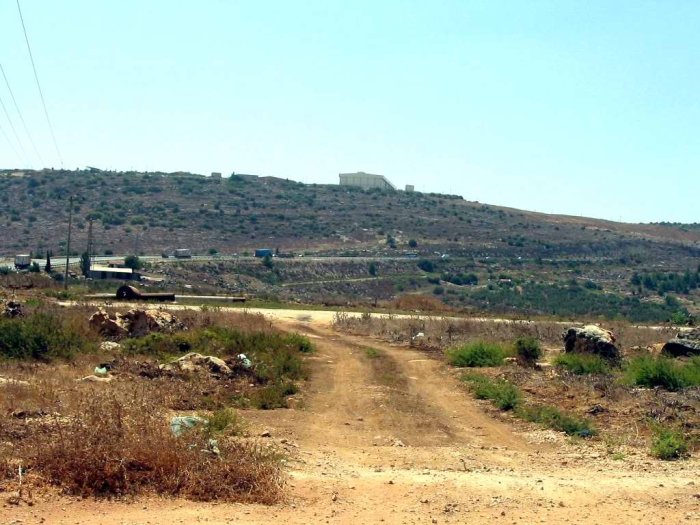 نِمّرِينْ