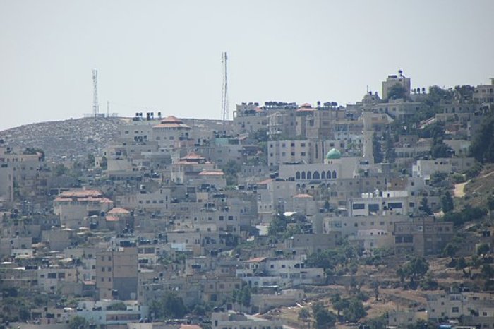 سنجل