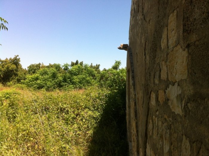النهر