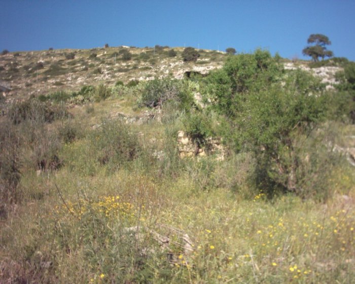 الطيرة / طيرة حيفا/ طيرة الكرمل/ طيرة اللوز / قرى جبل الكرمل